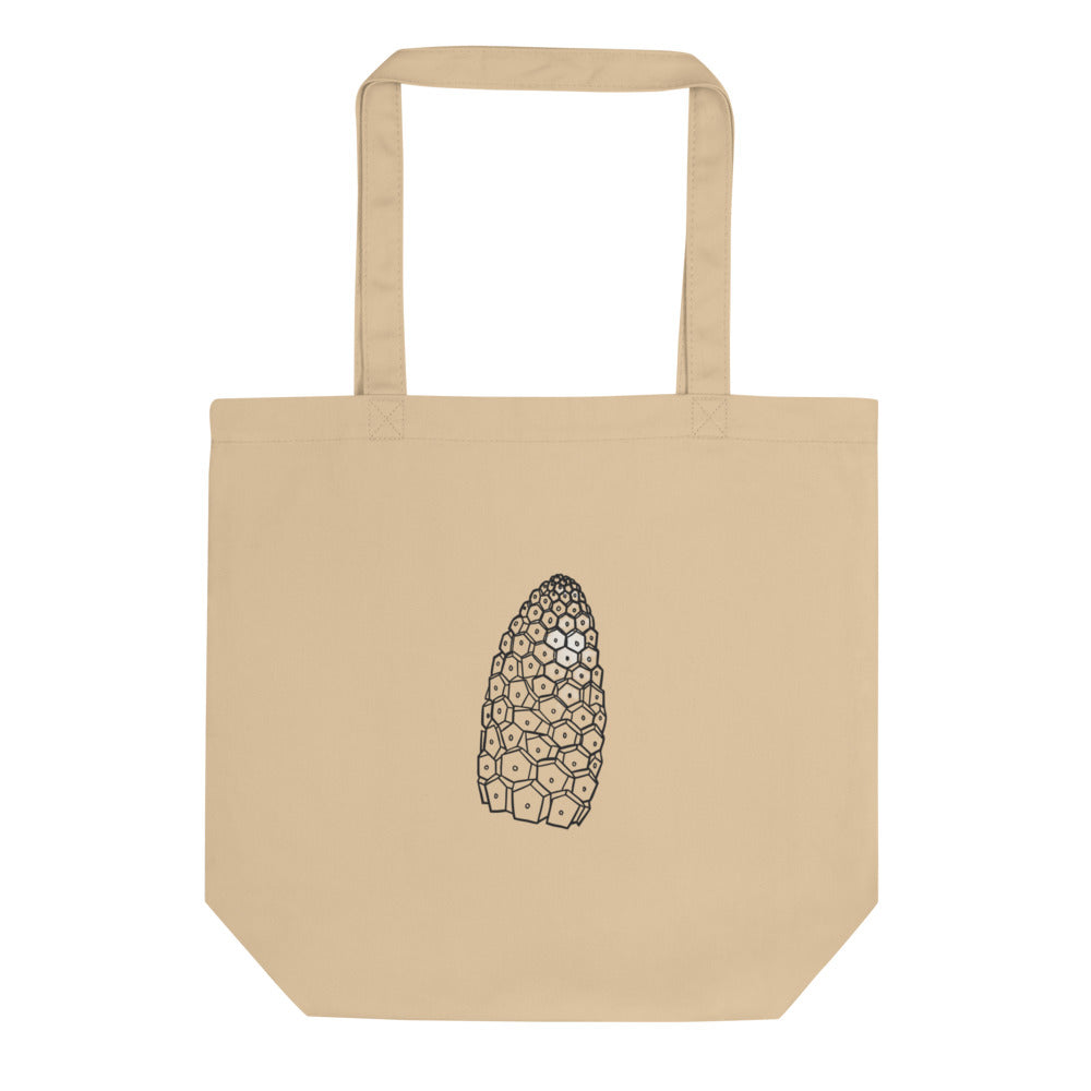 A minimalist line art print of a field horsetail fertile cone on a canvas tote bag. Shown on the Bone (Oyster) colorway.