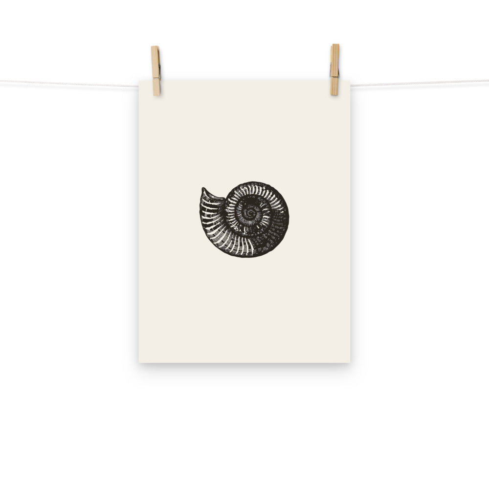 An art print featuring a detailed black line drawing of a Scaphites nodosus ammonite shell in lateral view. Hung with wooden pegs, 12″×16″ size.