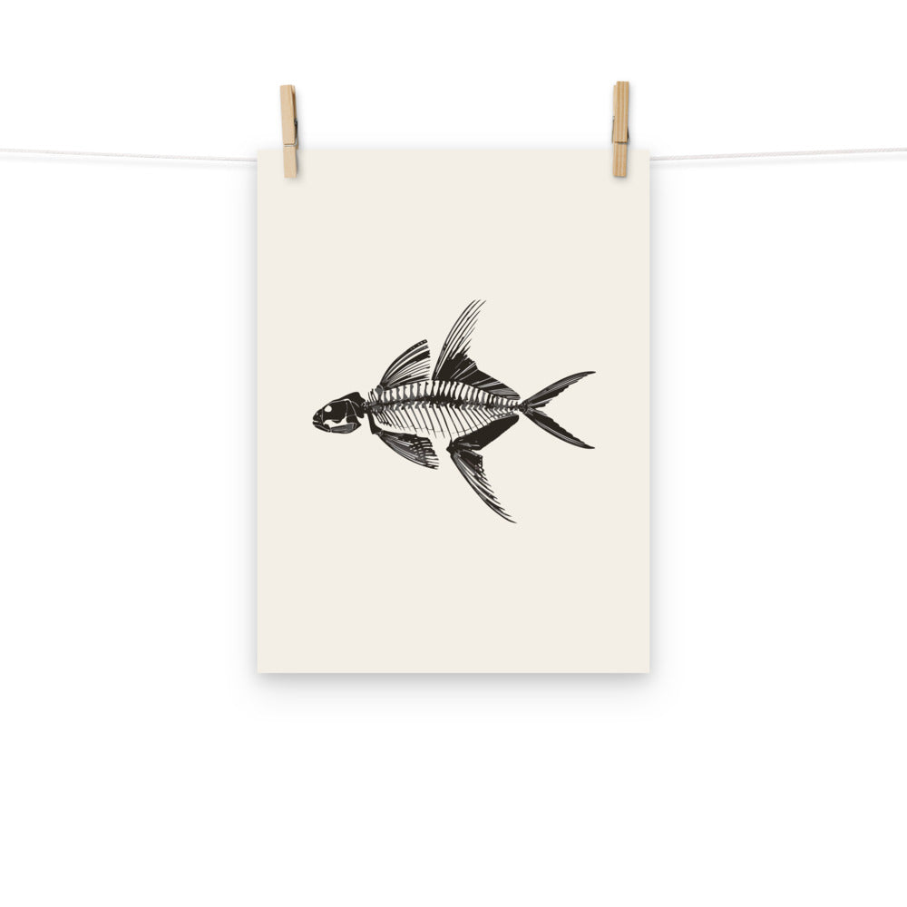 An ink line art illustration of an articulated Knightia eocaena fossil skeleton in lateral profile, printed on an art print. Hung with wooden pegs, 12″×16″ size.