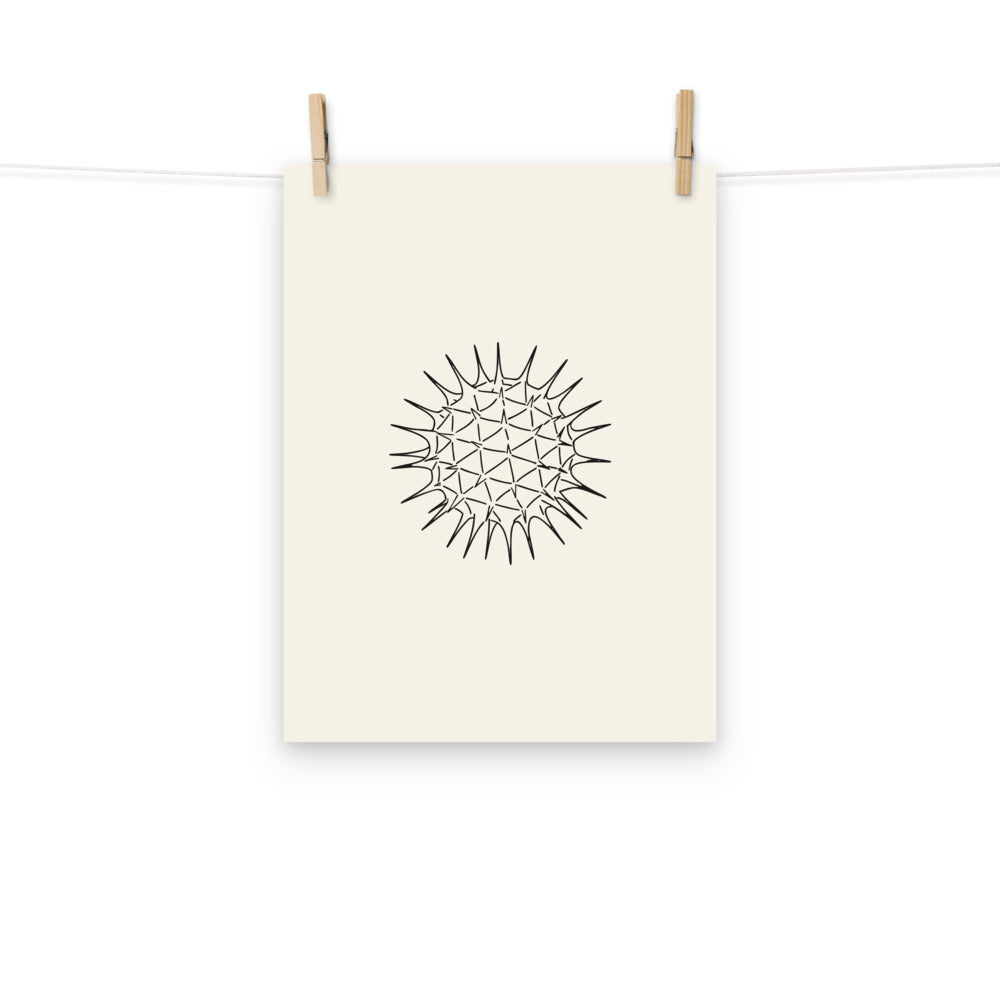 The microscopic line art illustration of a spiked dandelion pollen grain printed on an art print. Hung with wooden pegs, 12″×16″ size.
