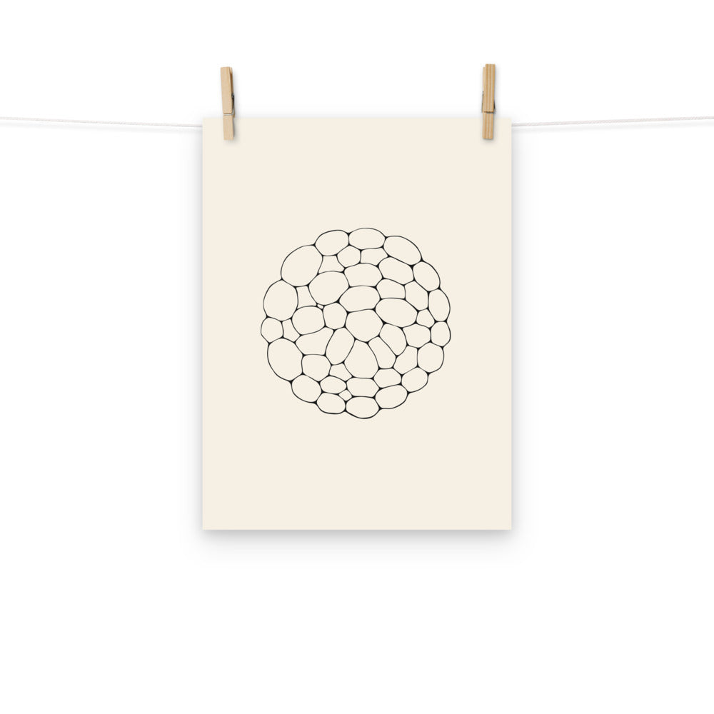 An ultra-fine network of interlocking solar convective cells printed on an art print. Hung with wooden pegs, 12″×16″ size.