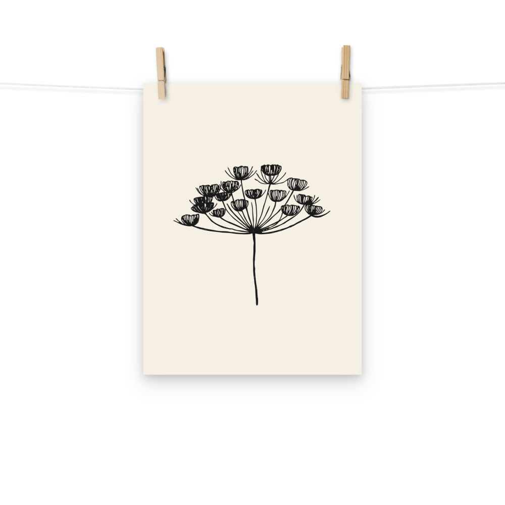 A minimalist botanical art print featuring a fine-line drawing of a dill seed umbel. Hung with wooden pegs, 12″×16″ size.