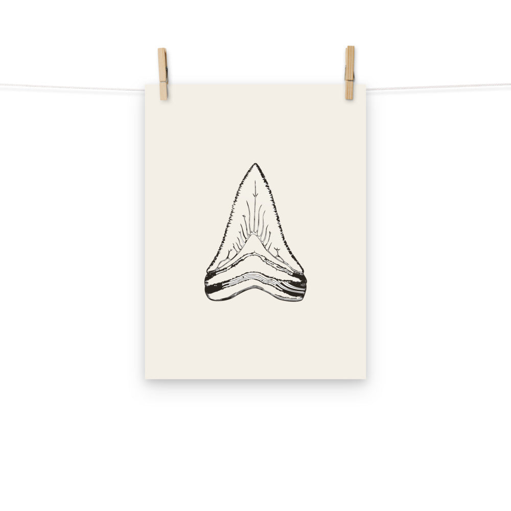 Scientific illustration of a Megalodon tooth in fine line art printed on a minimalist art print. Hung with wooden pegs, 12″×16″ size.
