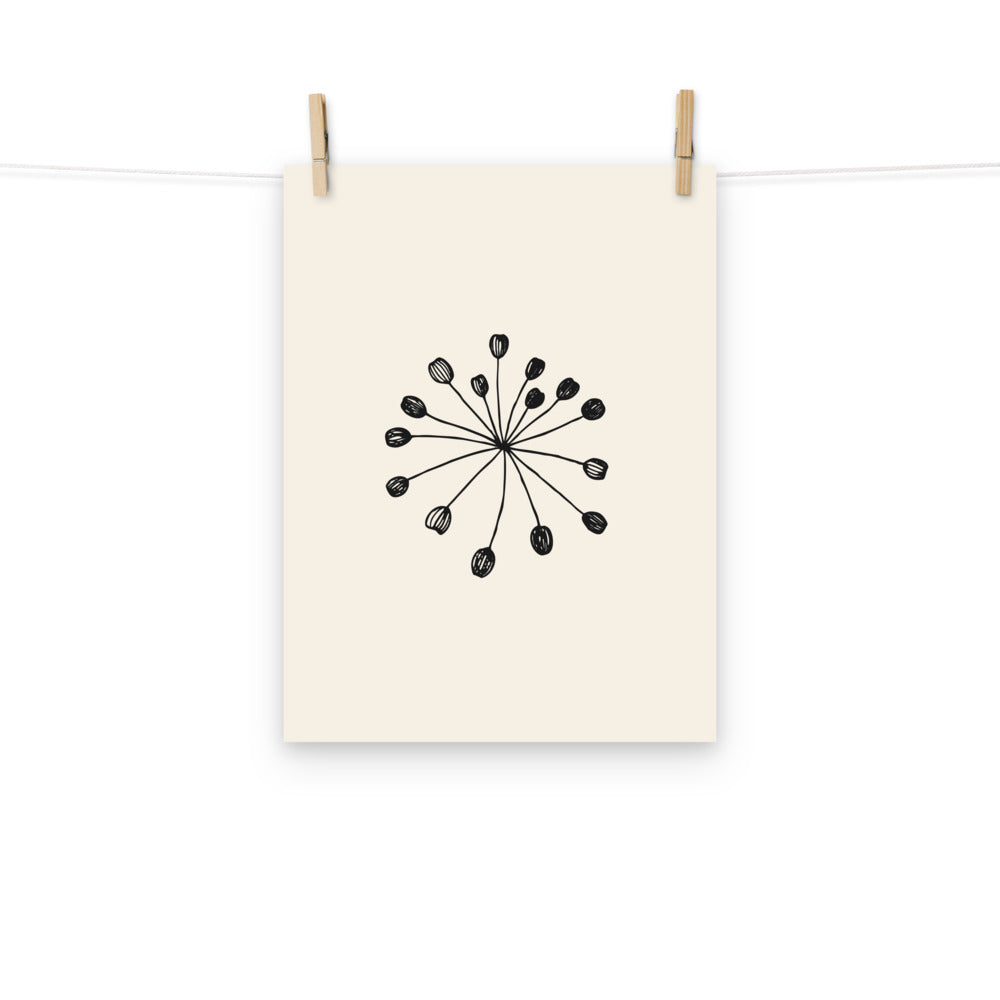 Minimalist engraving-style line art of a fennel seed umbellule printed on an art print. Hung with wooden pegs, 12″×16″ size.