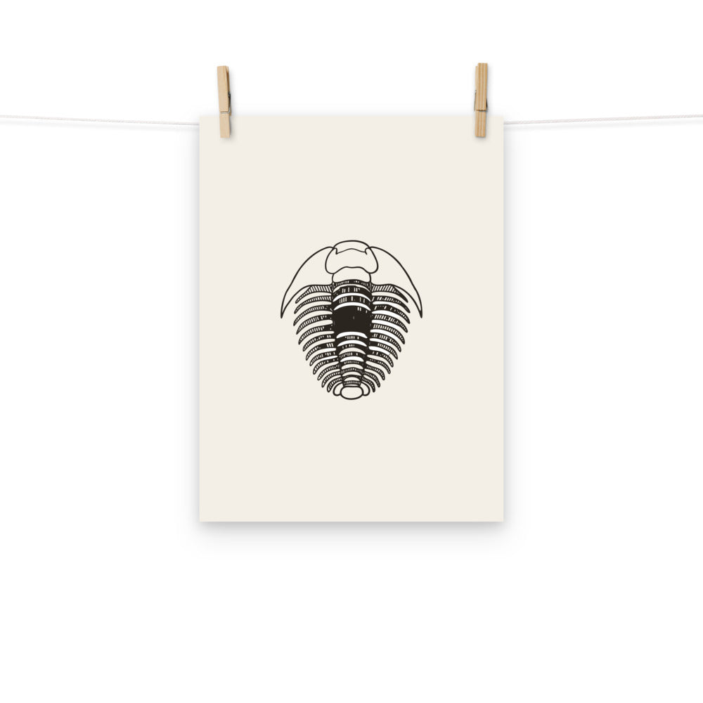 A detailed scientific engraving of an Elrathia kingii trilobite printed on a vertical art print. Hung with wooden pegs, 12″×16″ size.