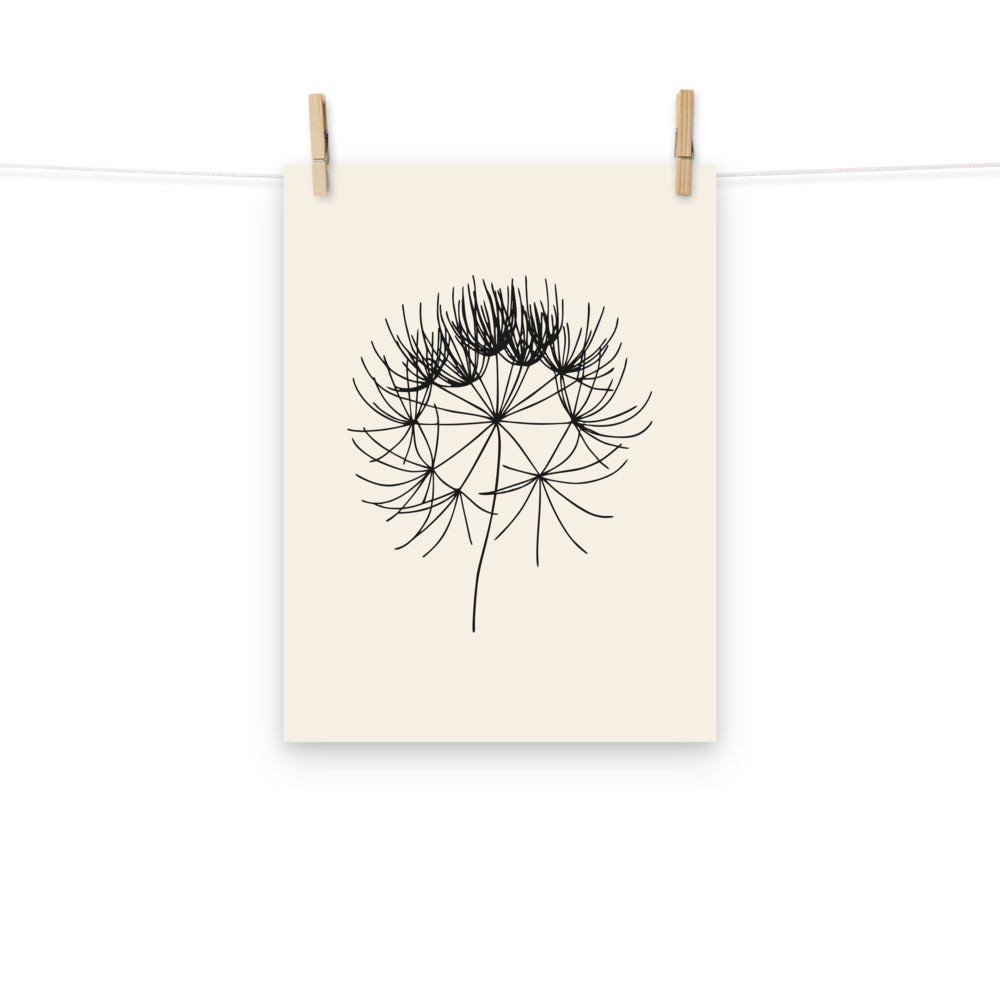 The wild chervil seed line art design displayed as a framed botanical art print. Hung with wooden pegs, 12″×16″ size.