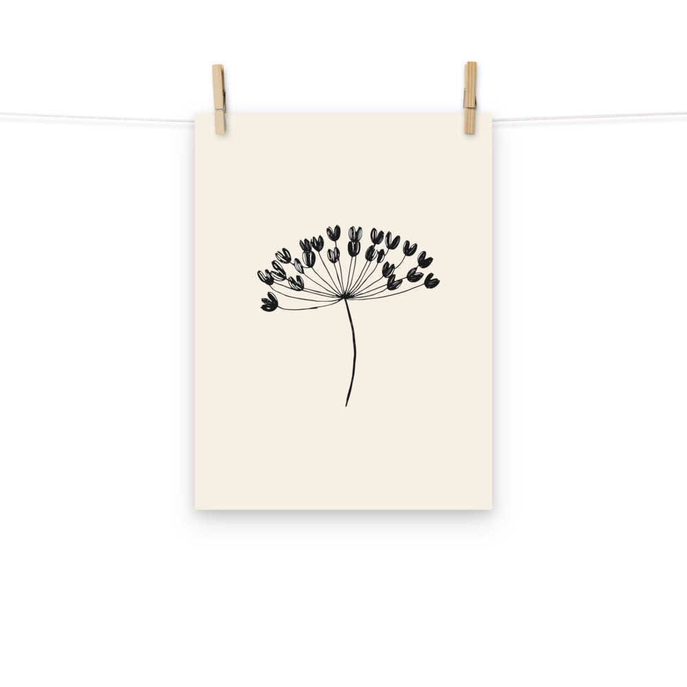 A minimalist botanical line drawing of a wild celery seed umbellule printed on an art print. Hung with wooden pegs, 12″×16″ size.
