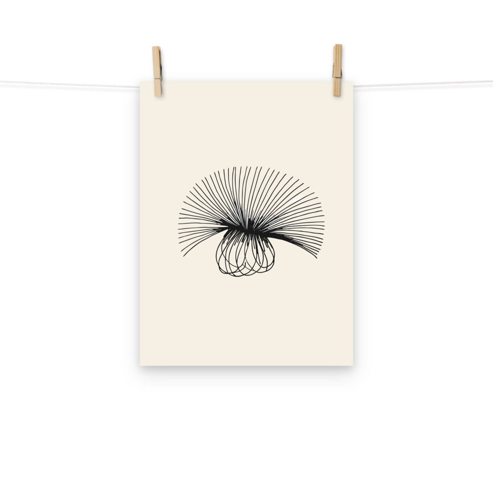A detailed botanical line drawing of a sow thistle seed head, printed on a fine art print. Hung with wooden pegs, 12″×16″ size.