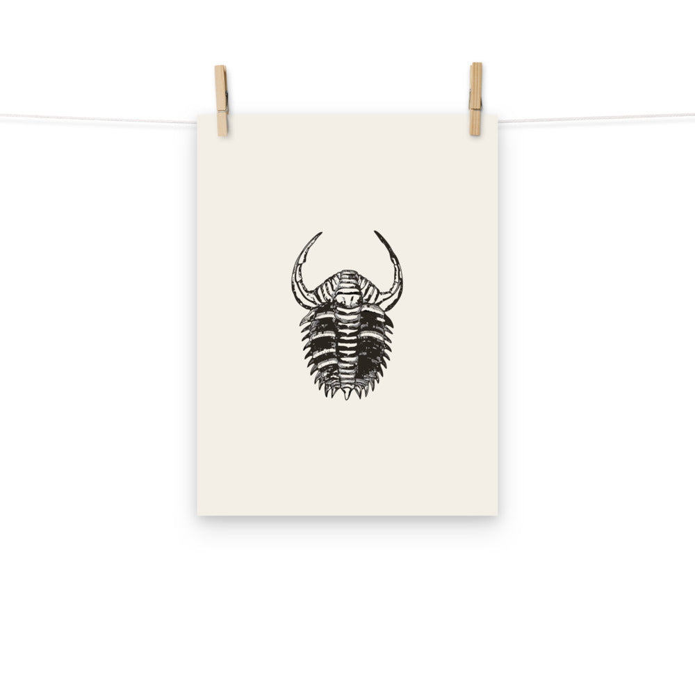 Dorsal view line art of the spiny trilobite Dicranurus monstrosus printed on an art print. Hung with wooden pegs, 12″×16″ size.