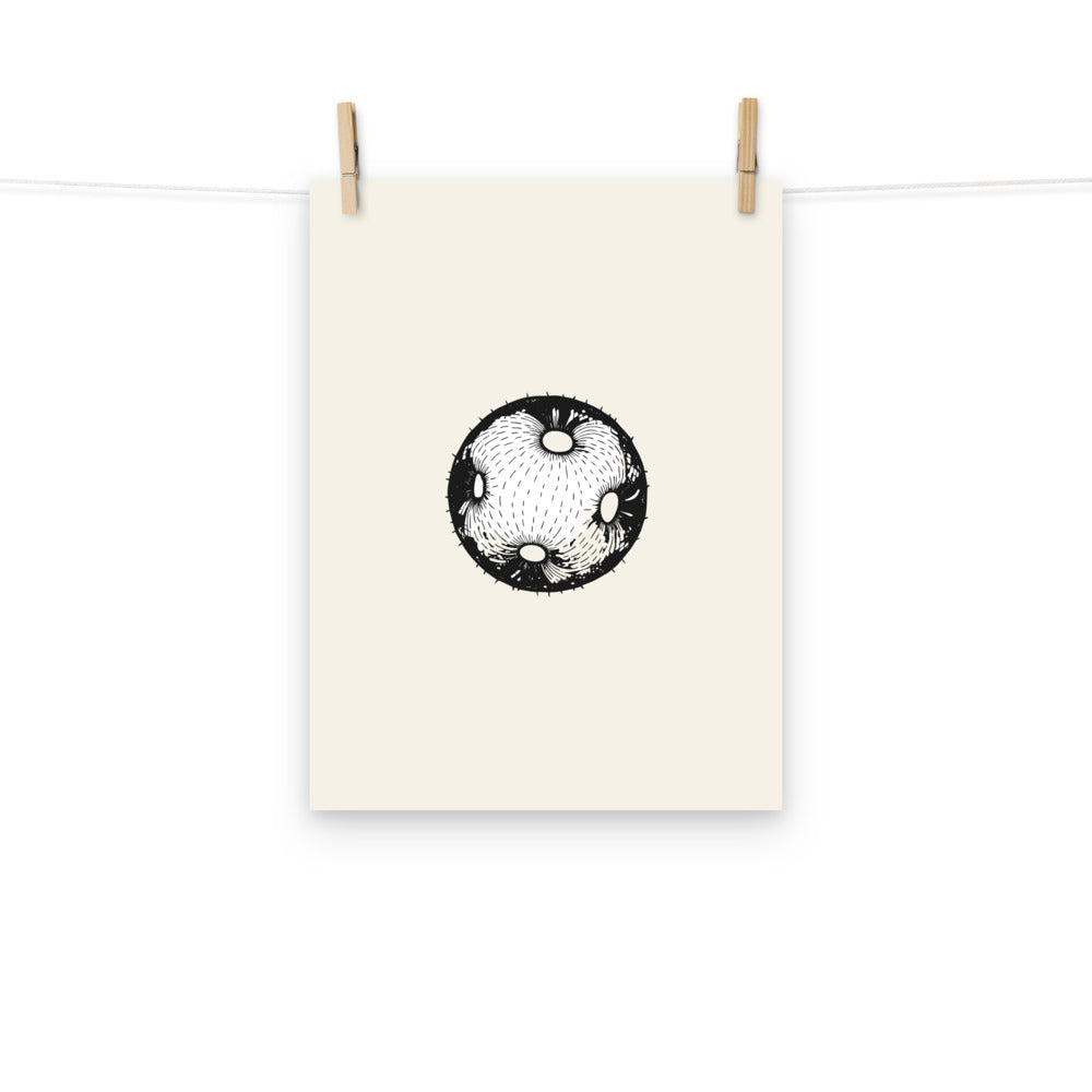 A minimalist micrographic drawing of a single spheroidal Cucurbita pollen grain printed on an art print. Hung with wooden pegs, 12″×16″ size.