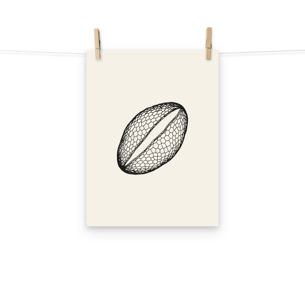 A minimalist line drawing of a single lily pollen grain with a reticulated wall on an art print. Hung with wooden pegs, 12″×16″ size.