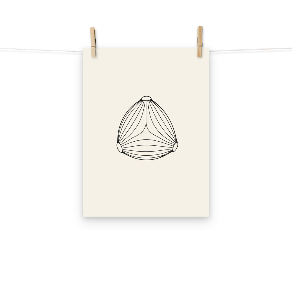 Minimalist line drawing of a three-pored birch pollen grain on an art print. Hung with wooden pegs, 12″×16″ size.