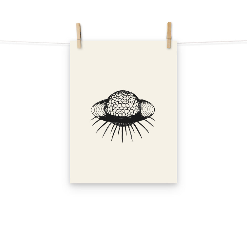 An orthographic drawing of a Saturnalis radiolarian skeleton on an art print. Hung with wooden pegs, 12″×16″ size.