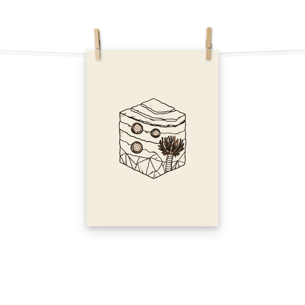A detailed scientific line art illustration of a crinoid fossil printed on an art print. Hung with wooden pegs, 12″×16″ size.