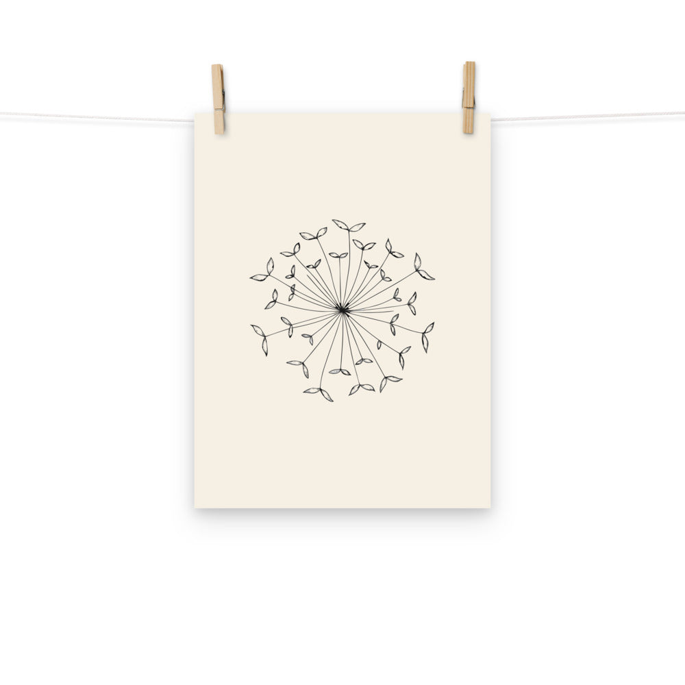An isolated botanical line drawing of an Angelica seed umbellule printed as an art print. Hung with wooden pegs, 12″×16″ size.