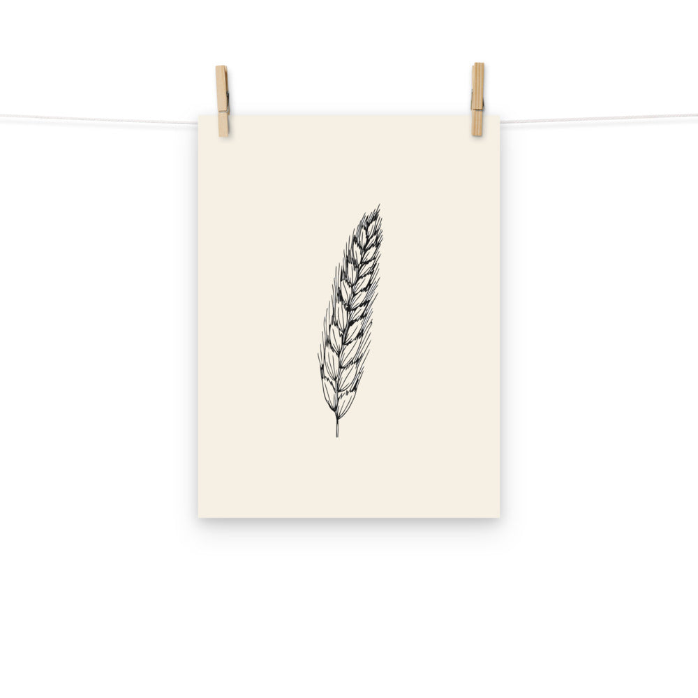 Fine hairline engraving of a single sweet vernal grass spikelet printed on an art print. Hung with wooden pegs, 12″×16″ size.