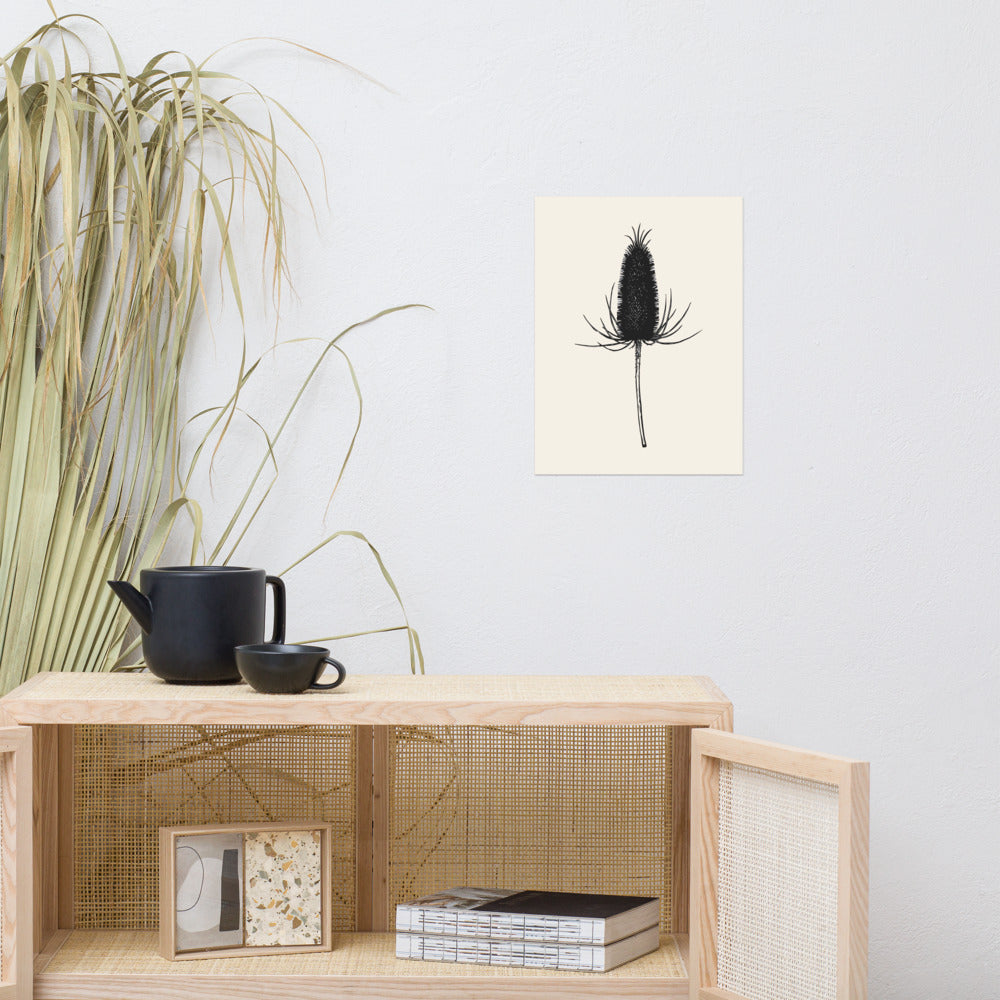A detailed botanical line drawing of a dried teasel seed head on an art print. Above a rattan cabinet, 12″×16″ size.