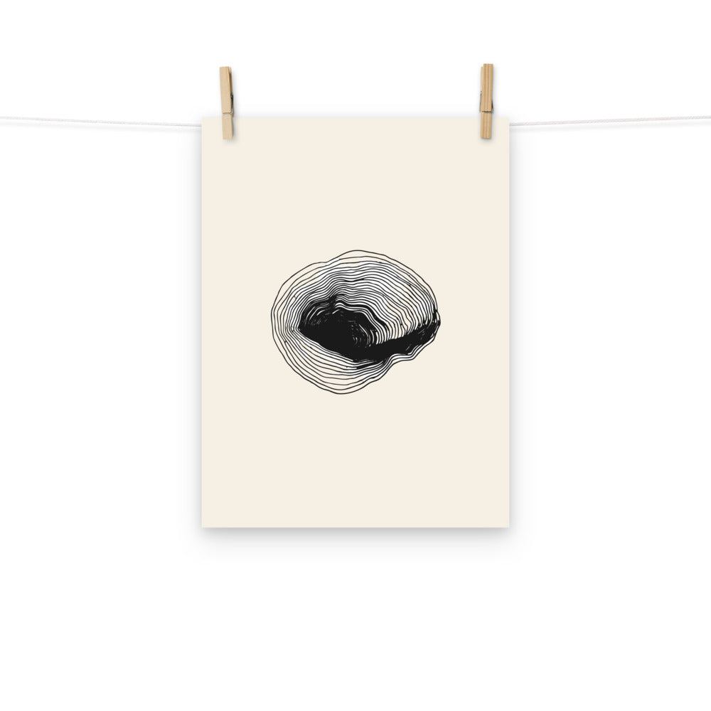 A precise bathymetric contour line study of a submerged volcanic caldera, printed on an art print. Hung with wooden pegs, 12″×16″ size.