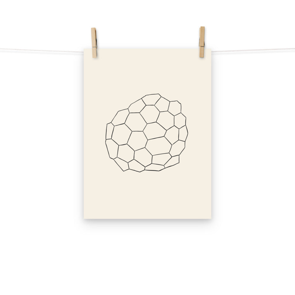A minimalist fine line art illustration of desiccation polygon tessellation printed on an art print. Hung with wooden pegs, 12″×16″ size.