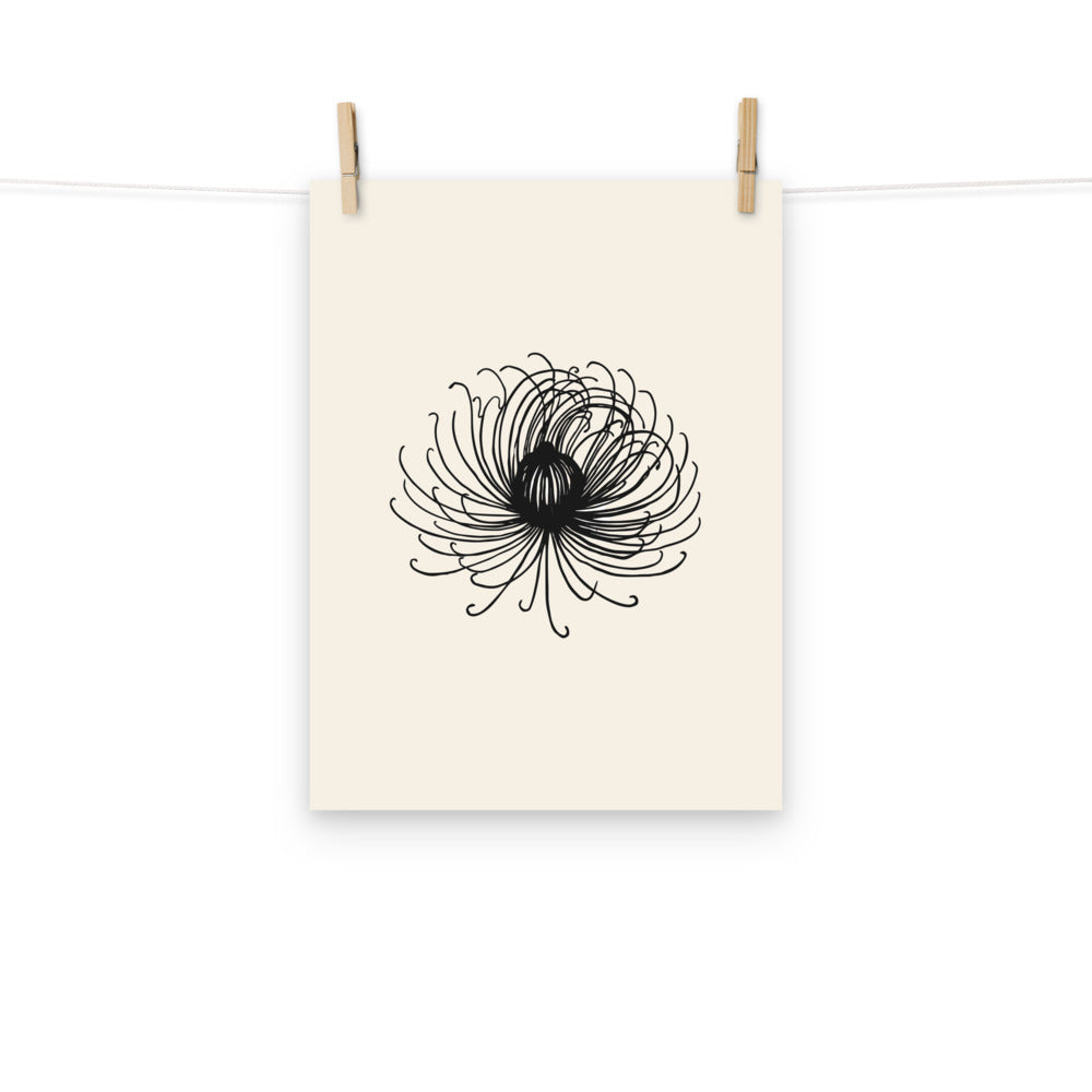 Engraving-style study of a mountain avens seed head in fine hairline strokes printed on an art print. Hung with wooden pegs, 12″×16″ size.