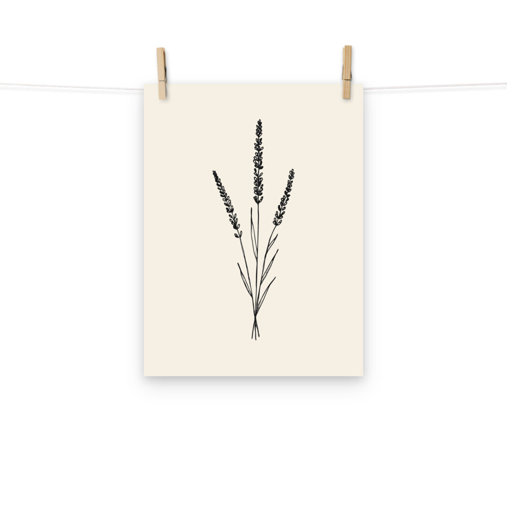 A line art illustration of three bound lavender stems printed on an art print. Hung with wooden pegs, 12″×16″ size.