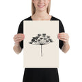 A minimalist botanical art print featuring a fine-line drawing of a dill seed umbel. 12″×16″ size.