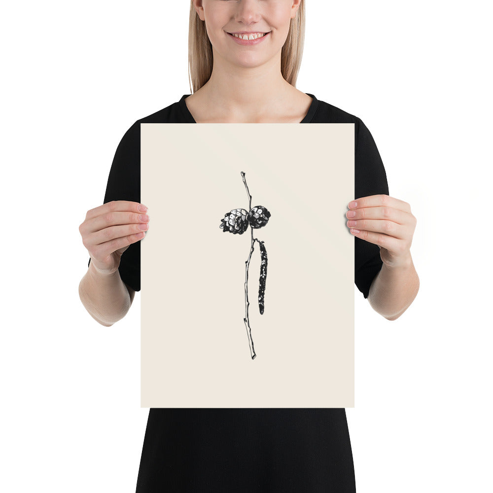 A high-detail line art illustration of a slender alder twig with cones and a catkin, printed as a vertical art print. 12″×16″ size.
