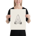 Scientific illustration of a Megalodon tooth in fine line art printed on a minimalist art print. 12″×16″ size.