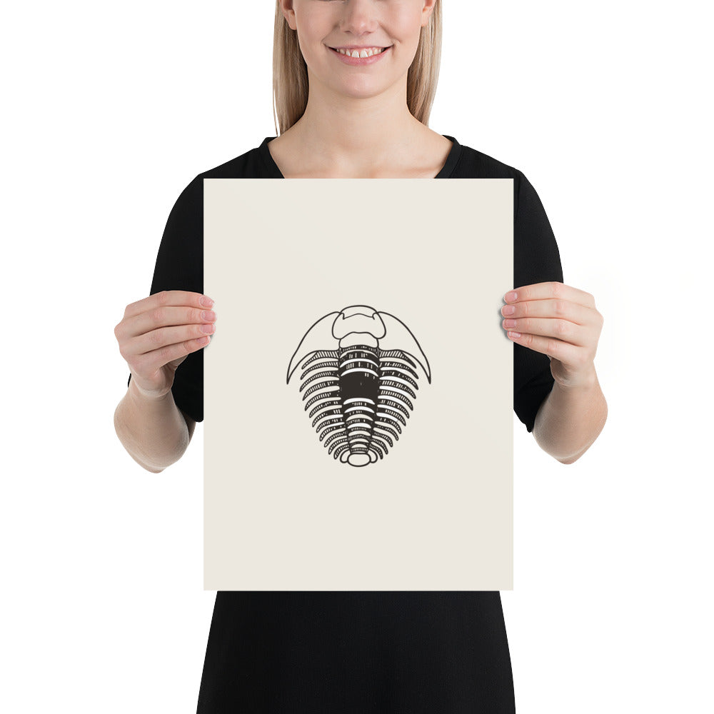 A detailed scientific engraving of an Elrathia kingii trilobite printed on a vertical art print. 12″×16″ size.