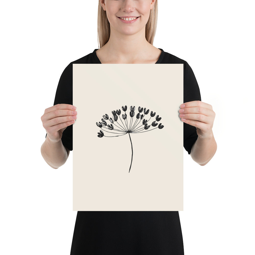 A minimalist botanical line drawing of a wild celery seed umbellule printed on an art print. 12″×16″ size.