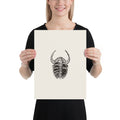 Dorsal view line art of the spiny trilobite Dicranurus monstrosus printed on an art print. 12″×16″ size.