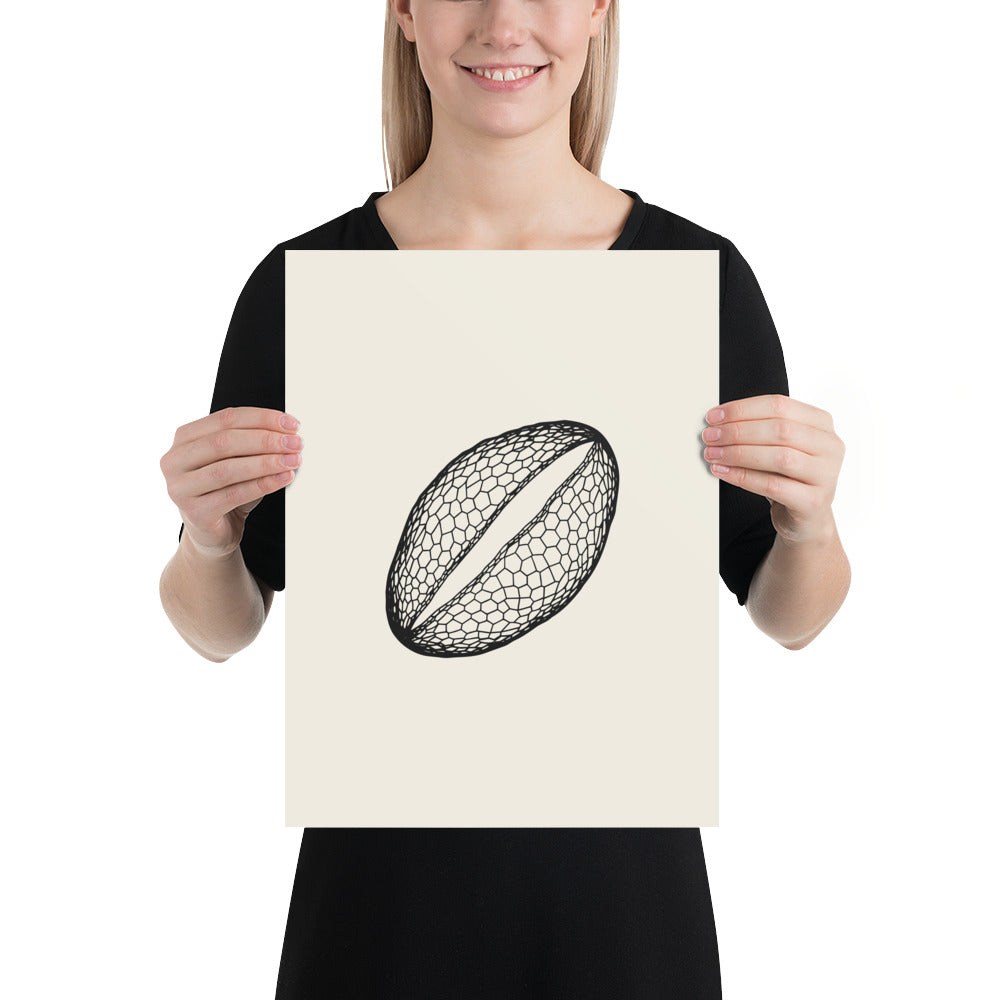 A minimalist line drawing of a single lily pollen grain with a reticulated wall on an art print. 12″×16″ size.