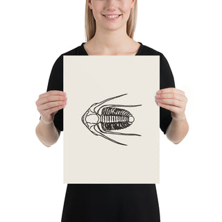 Art print with the same design