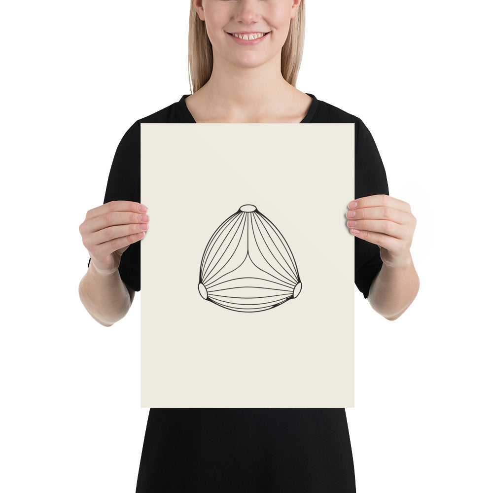 Minimalist line drawing of a three-pored birch pollen grain on an art print. 12″×16″ size.
