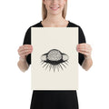 An orthographic drawing of a Saturnalis radiolarian skeleton on an art print. 12″×16″ size.