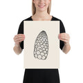 An art print featuring a detailed botanical line drawing of a field horsetail fertile cone. 12″×16″ size.