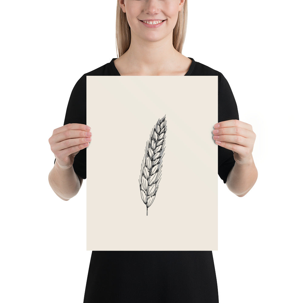 Fine hairline engraving of a single sweet vernal grass spikelet printed on an art print. 12″×16″ size.