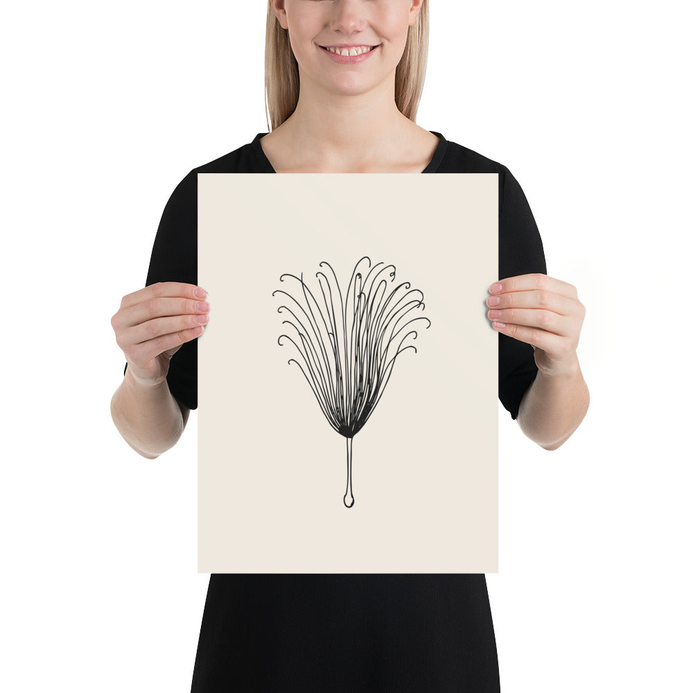 A detailed botanical engraving of a single feathery clematis achene plume printed on an art print. 12″×16″ size.