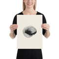 A precise bathymetric contour line study of a submerged volcanic caldera, printed on an art print. 12″×16″ size.