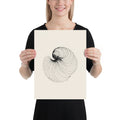A detailed botanical-style astronomical engraving of comet dust striae printed on a minimalist art print. 12″×16″ size.