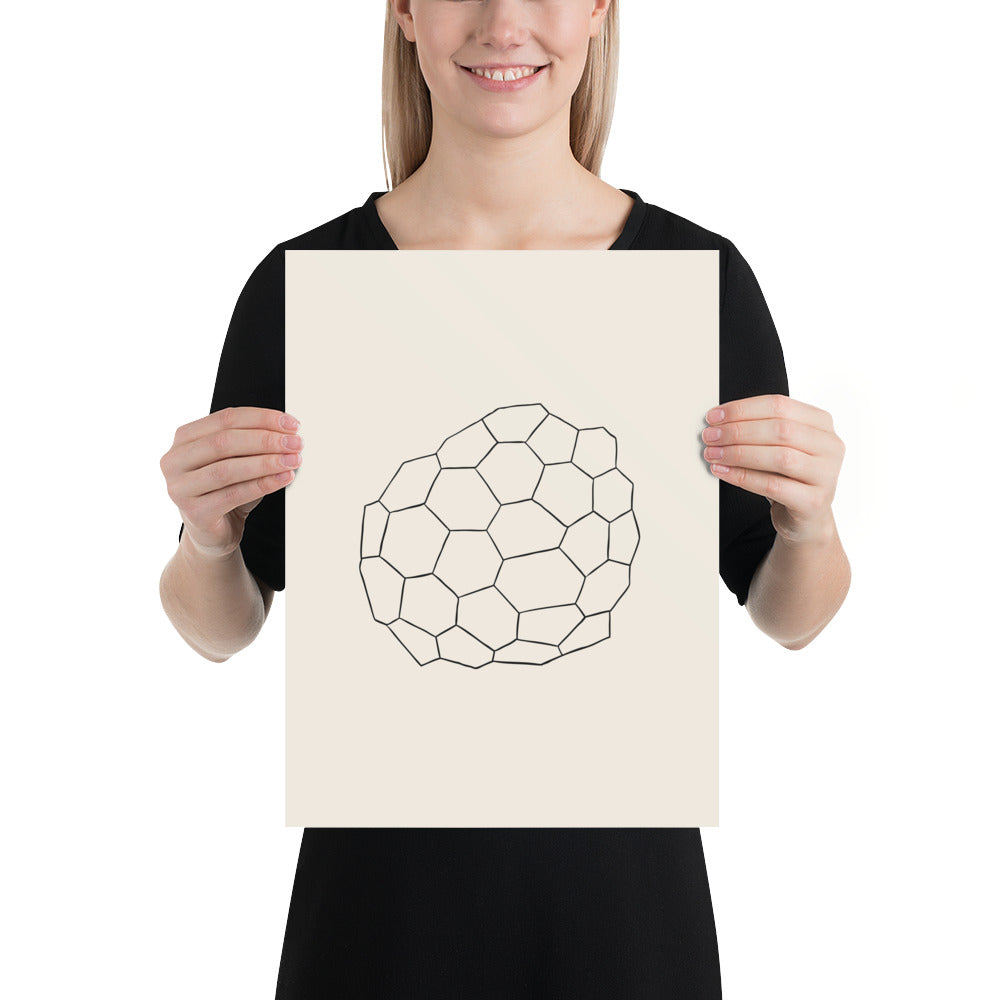 A minimalist fine line art illustration of desiccation polygon tessellation printed on an art print. 12″×16″ size.