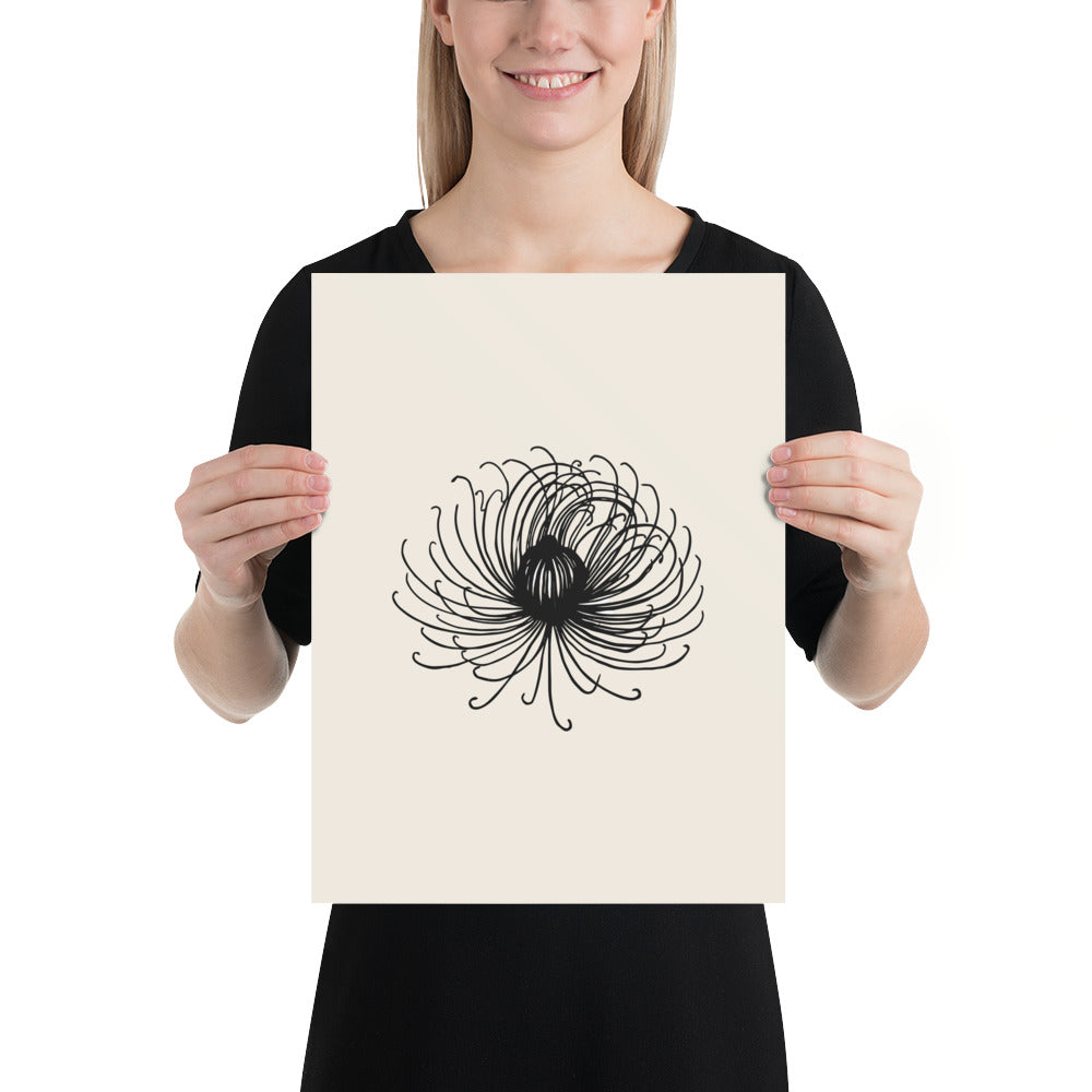 Engraving-style study of a mountain avens seed head in fine hairline strokes printed on an art print. 12″×16″ size.