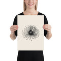 Engraving-style study of a mountain avens seed head in fine hairline strokes printed on an art print. 12″×16″ size.