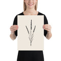 A line art illustration of three bound lavender stems printed on an art print. 12″×16″ size.