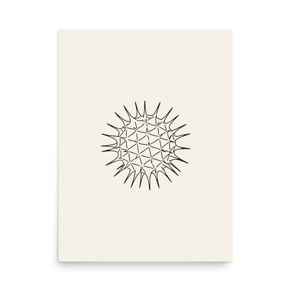 The microscopic line art illustration of a spiked dandelion pollen grain printed on an art print. 18″×24″ size.