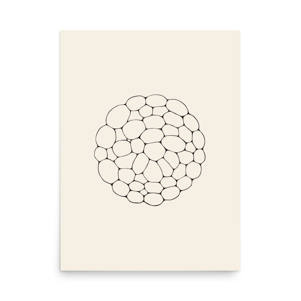 An ultra-fine network of interlocking solar convective cells printed on an art print. 18″×24″ size.