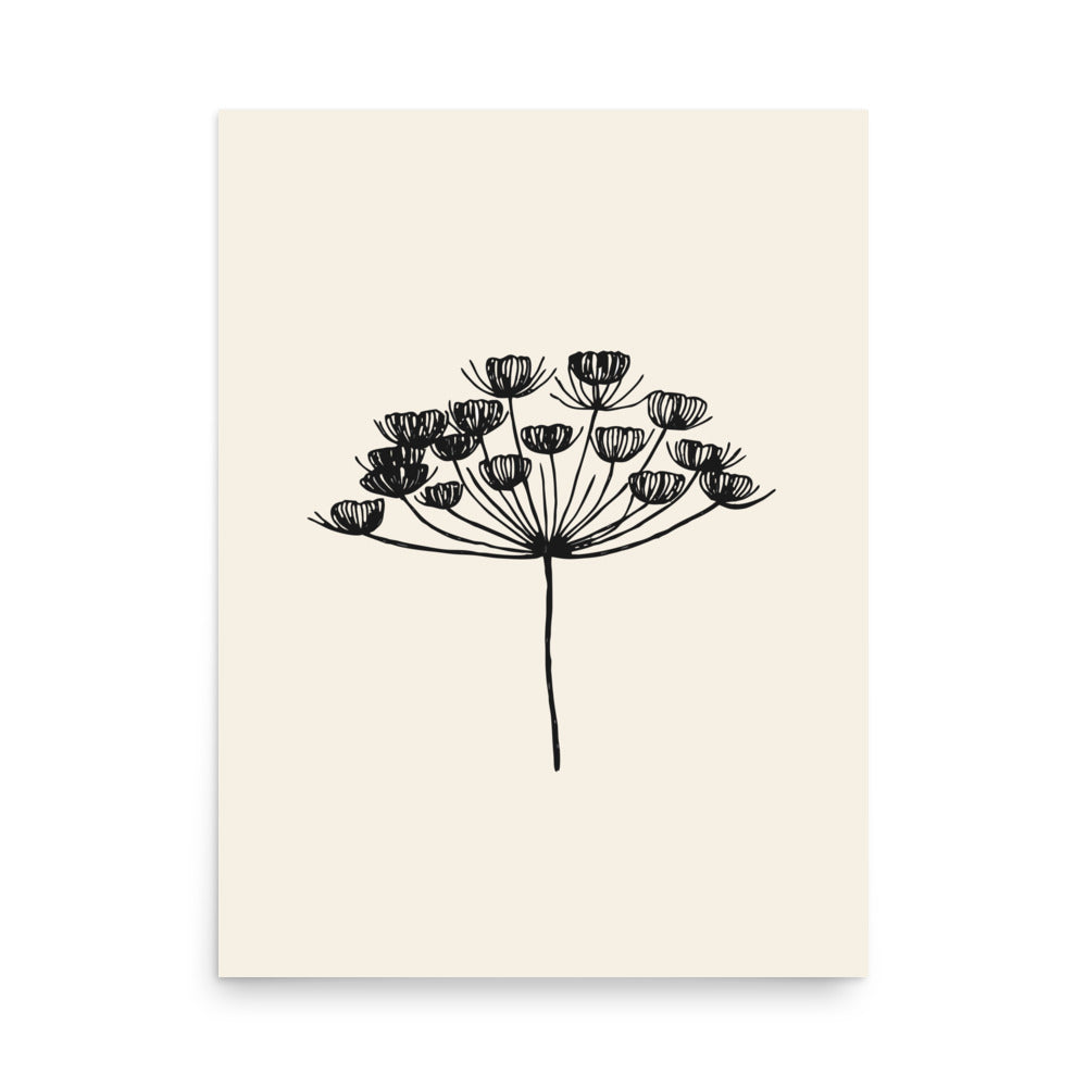 A minimalist botanical art print featuring a fine-line drawing of a dill seed umbel. 18″×24″ size.