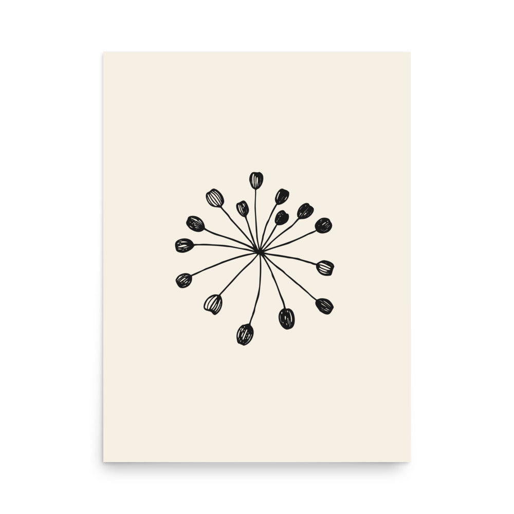Minimalist engraving-style line art of a fennel seed umbellule printed on an art print. 18″×24″ size.