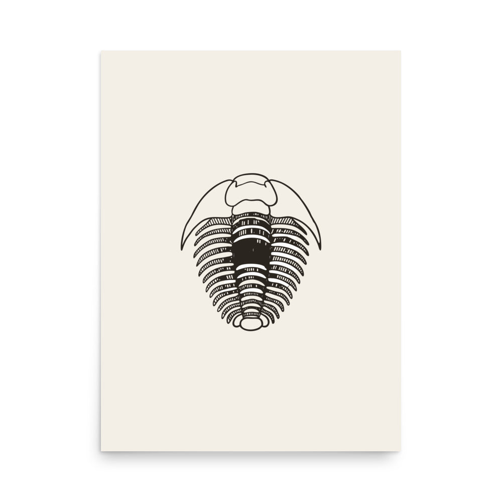 A detailed scientific engraving of an Elrathia kingii trilobite printed on a vertical art print. 18″×24″ size.