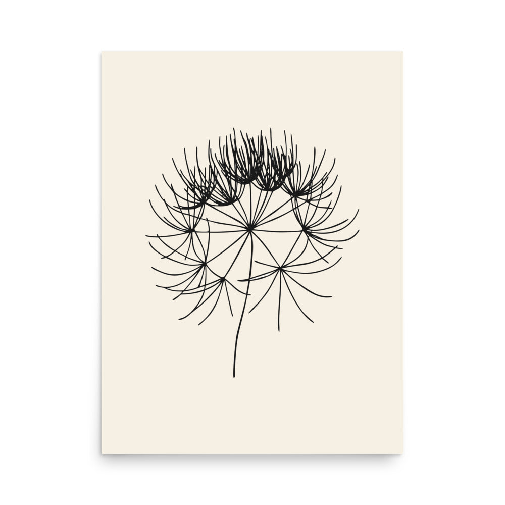 The wild chervil seed line art design displayed as a framed botanical art print. 18″×24″ size.
